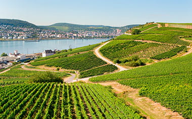 Rudesheim